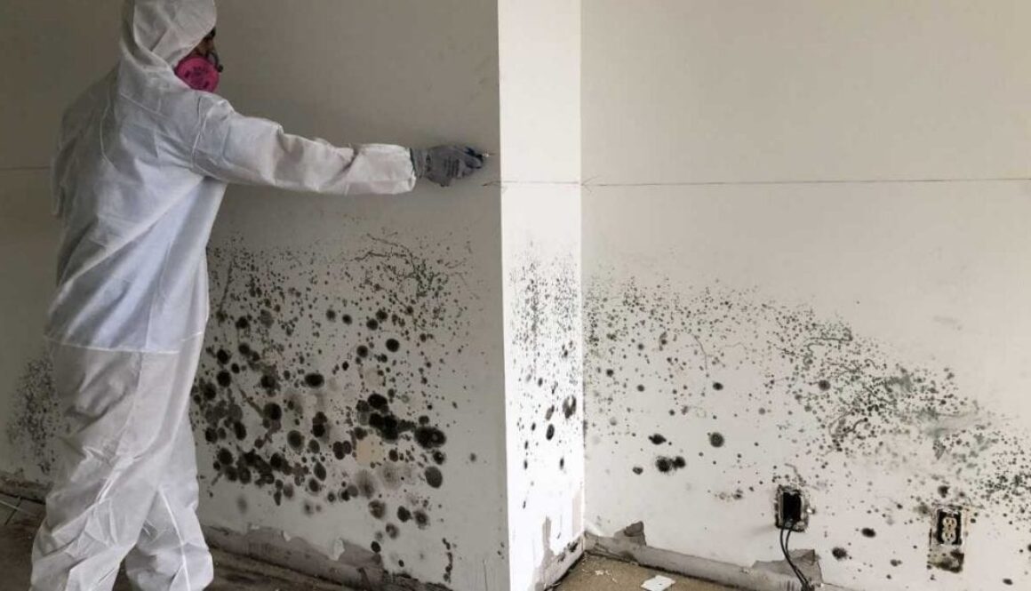 Restoration RX Mold Remediation