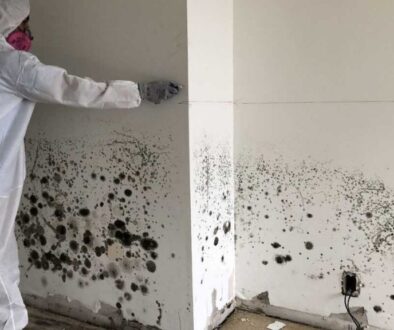 Restoration RX Mold Remediation