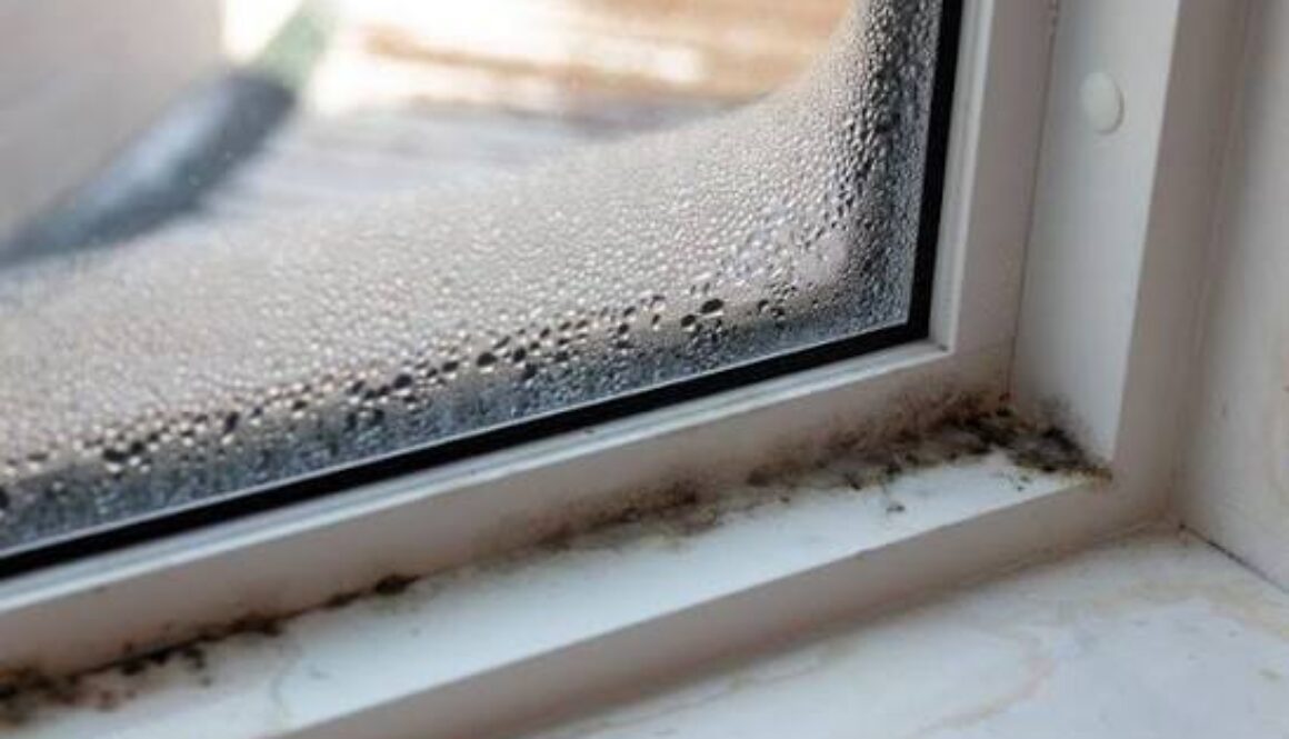 Mold Remediation Ashland, KY by Restoration RX