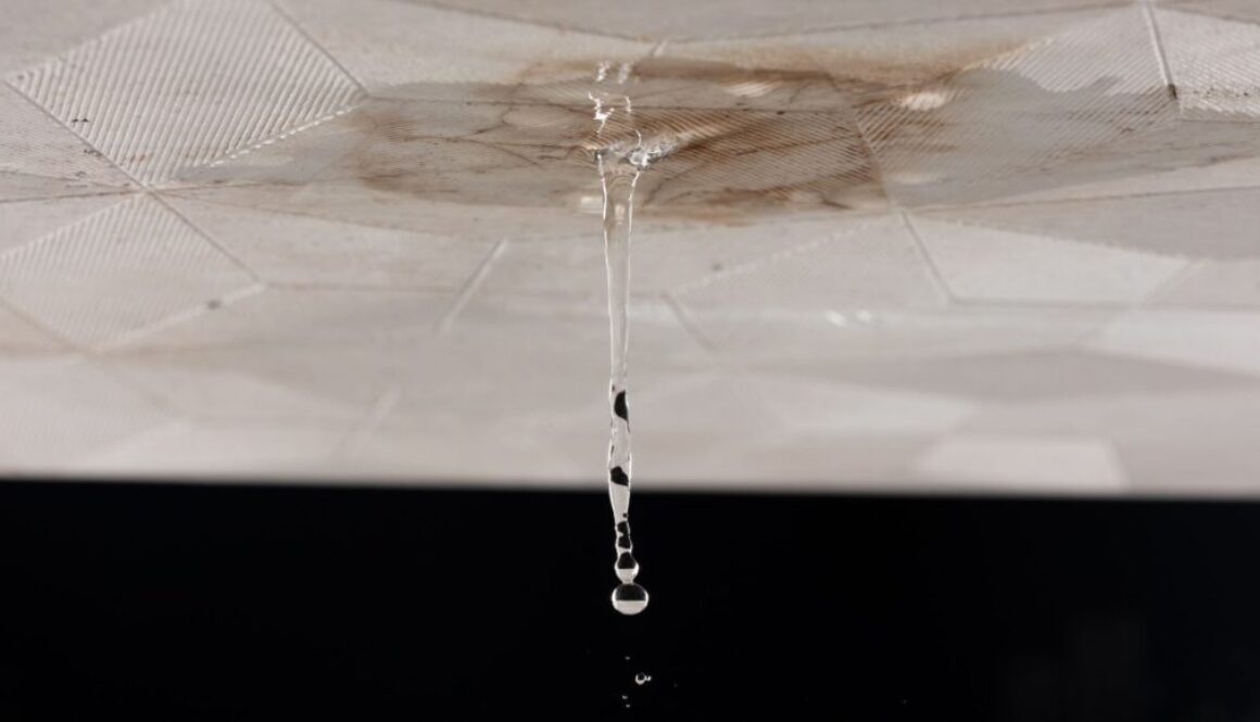 Home Water Damage Inspection