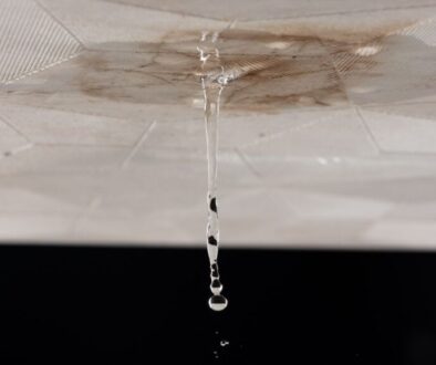 Home Water Damage Inspection