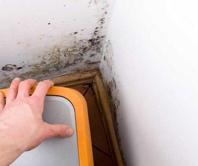 Hidden Mold - Inspection and remediation by Restoration RX