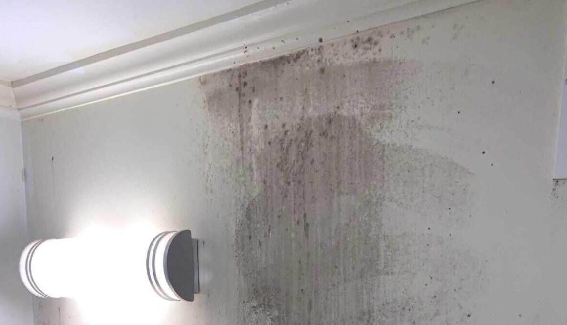 Mold Remediation tips for home