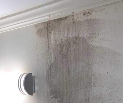 Mold Remediation tips for home